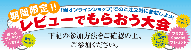 レビューでもらおう大会