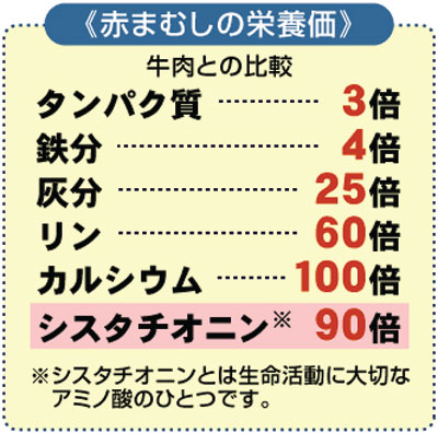 《赤まむしの栄養価》牛肉との比較タンパク質3倍鉄分4倍灰分25倍リン60倍カルシウム100倍シスタチオニン90倍※シスタチオニンとは生命活動に大切なアミノ酸のひとつです。