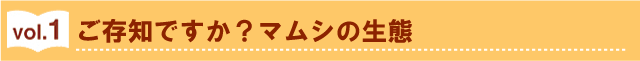 ご存知ですか？マムシの生態