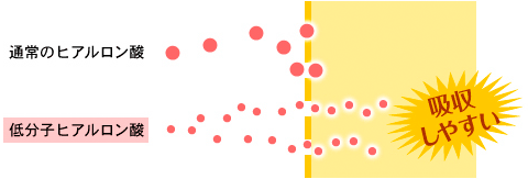 低分子ヒアルロン酸を配合