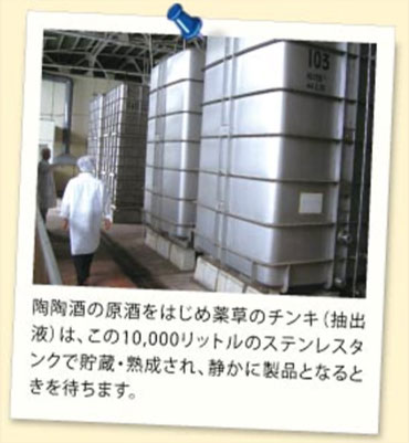 陶陶酒の原酒をはじめ薬草のチンキ(抽出液)は、この10,000リットルのステンレスタンクで貯蔵・熟成され、静かに製品となるときを待ちます。