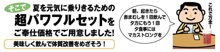 そこで夏を元気に乗り切るための超パワフルセット誕生！