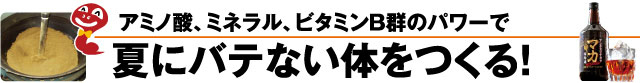 夏にバテない体をつくる！