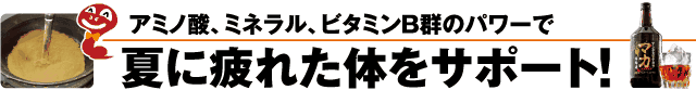 夏に疲れた体をサポート！