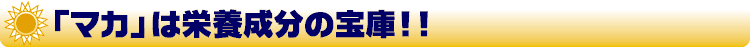 マカは栄養成分の宝庫