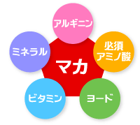 マカにはミネラル、ビタミン、必須アミノ酸などがたくさん！