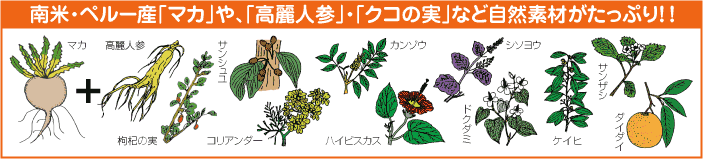 南米ペルー産マカや高麗人参・クコの実など自然素材たっぷり