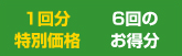 特別価格（１年）