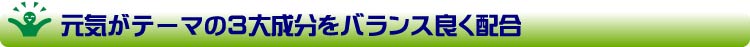 元気がテーマの3大成分をバランス良く配合