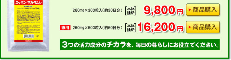 smm-12-02.gif