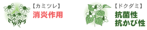 【カミツレ】/消炎作用/【ドクダミ】/抗菌性/抗かび性
