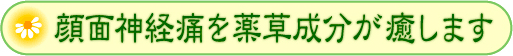 顔面神経痛を薬草成分が癒します