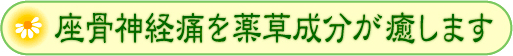 坐骨神経痛を薬草成分が癒します